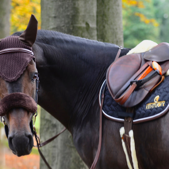 Noseband sheath - Kentucky