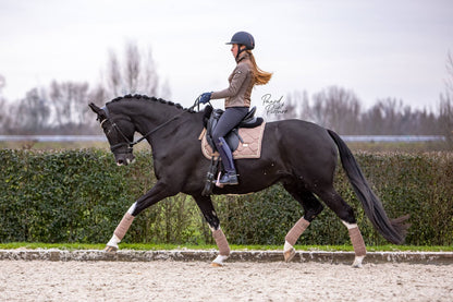 Bandes de polo Champagne - Equestrian Stockholm