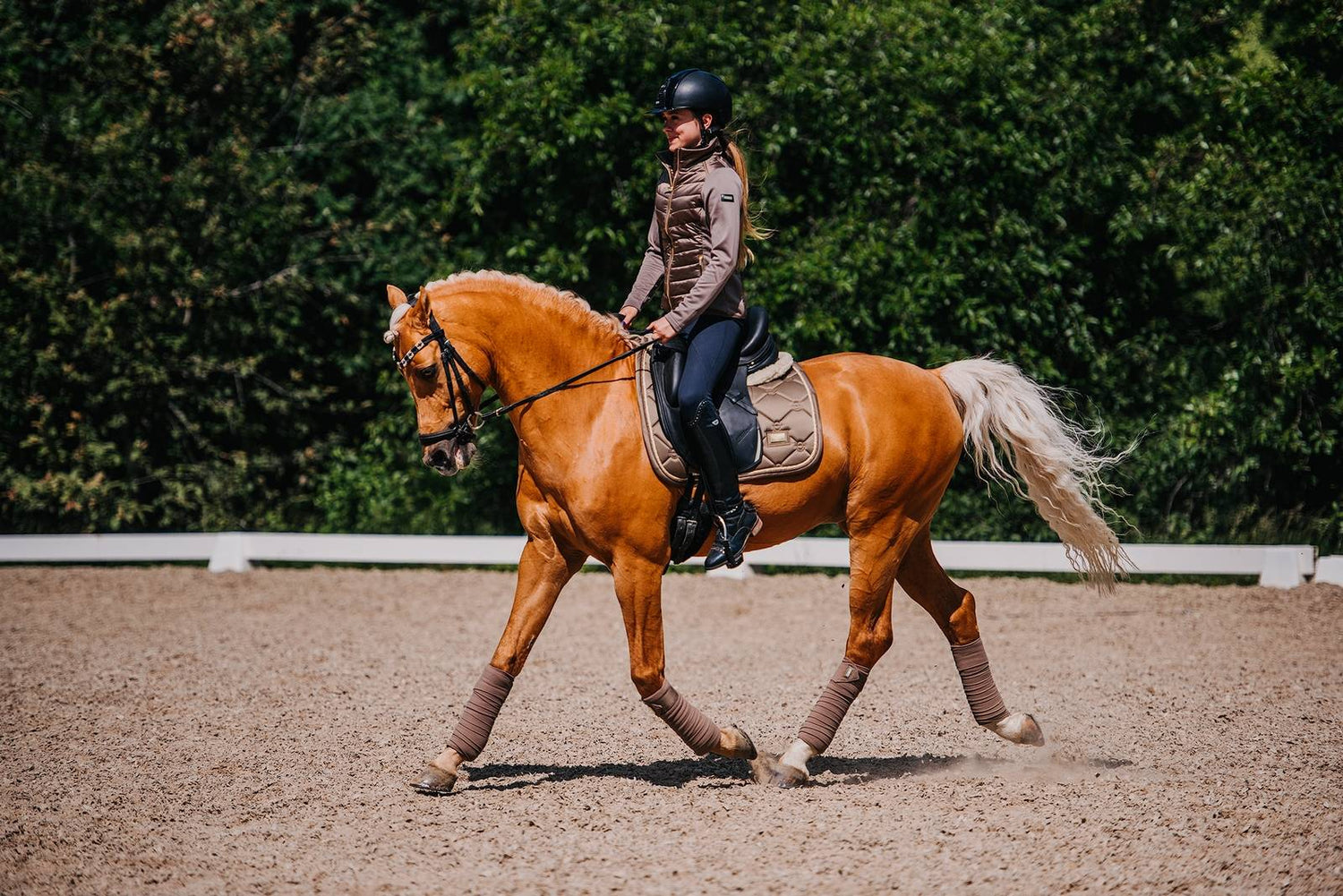 Bandes de polo Champagne - Equestrian Stockholm