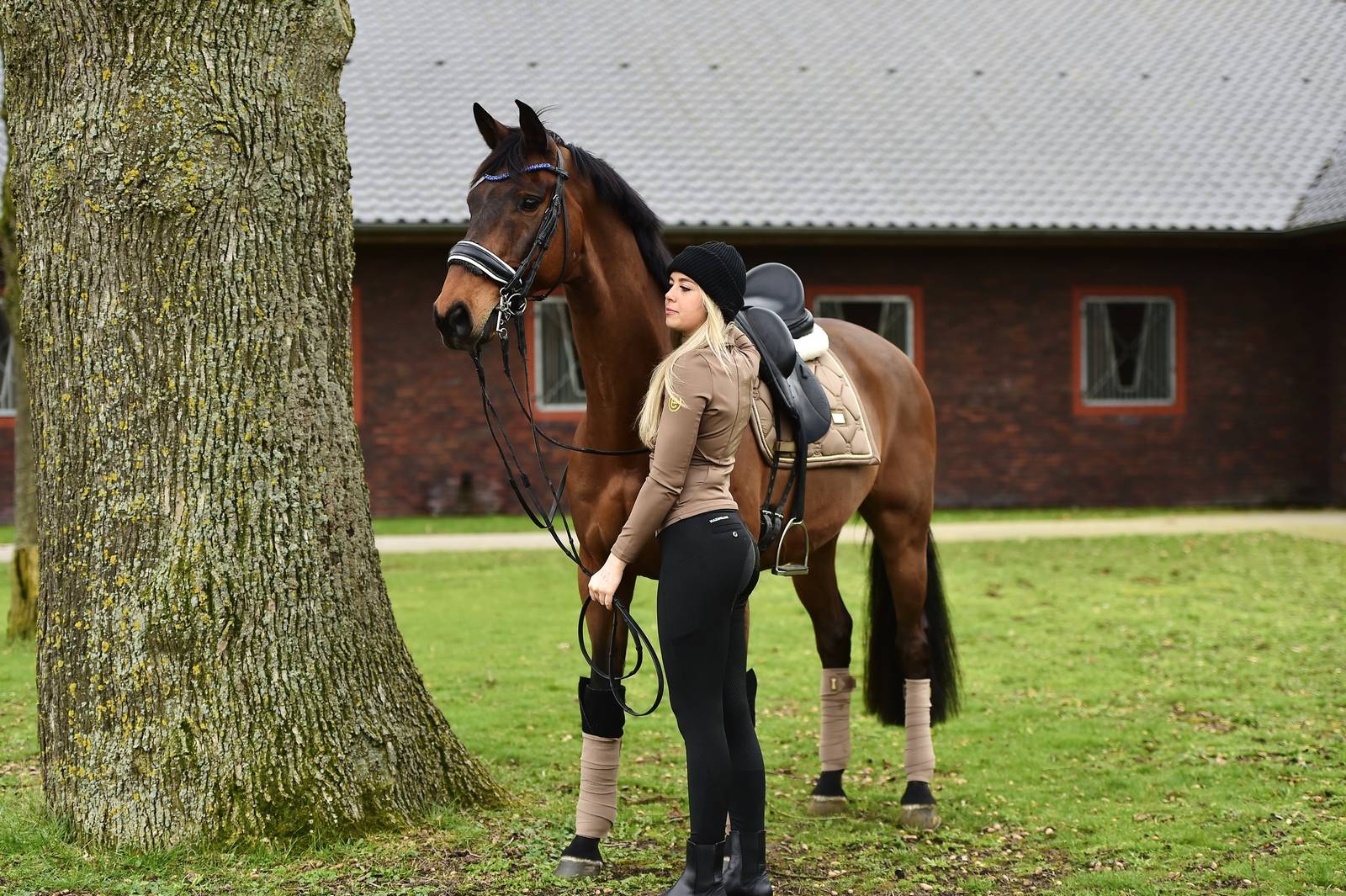 Bandes de polo Champagne - Equestrian Stockholm