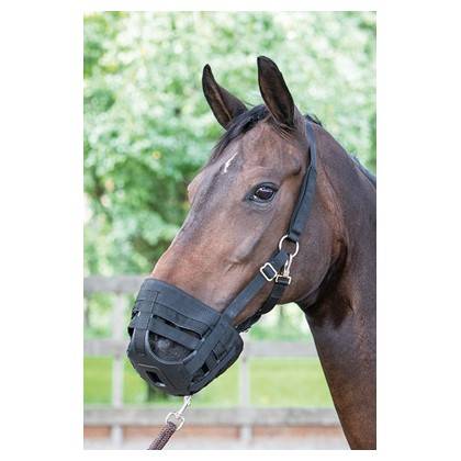 Air muzzle with integrated halter - Harry&