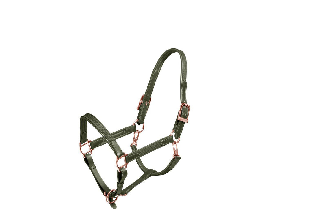 Evening Haze leather halter and lead rope - Equestrian Stockholm