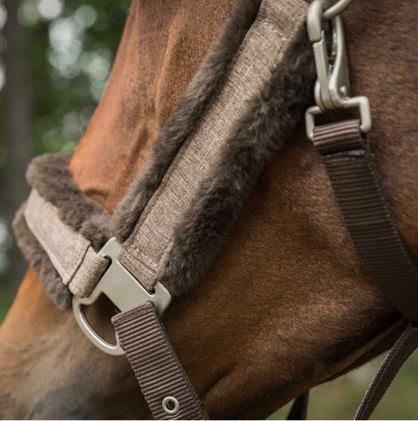 HAZE Halter Heather Brown - Back On Track