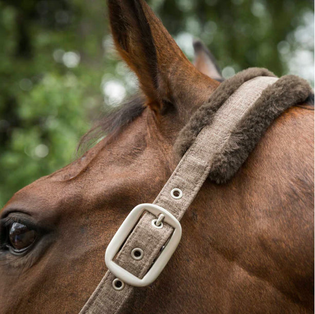 HAZE Halter Heather Brown - Back On Track