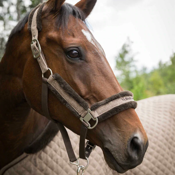 HAZE Halter Heather Brown - Back On Track