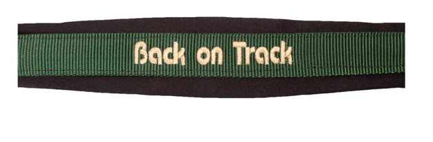 Licol Werano - Back On Track