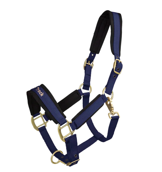 Licol Werano - Back On Track