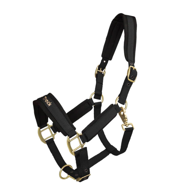 Licol Werano - Back On Track