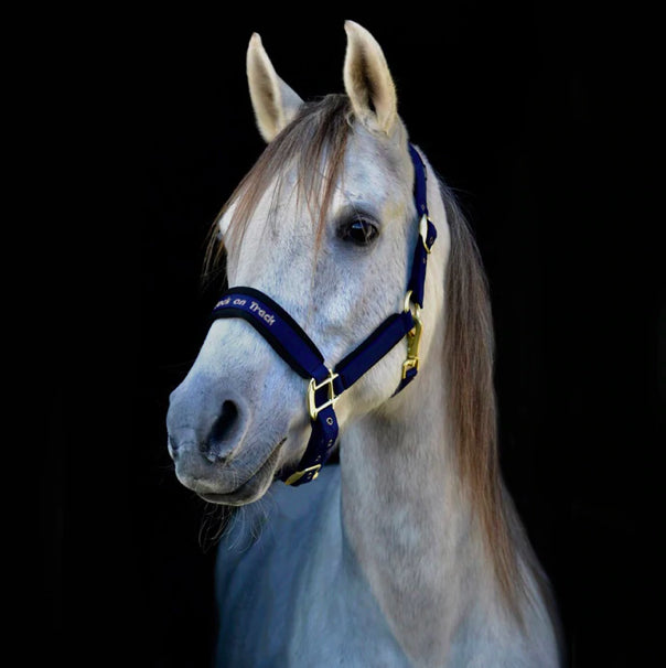 Licol Werano - Back On Track