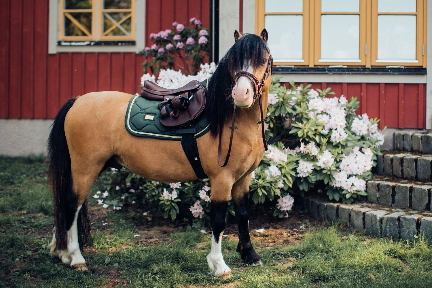 Forest Green saddle pad - Equestrian Stockholm 