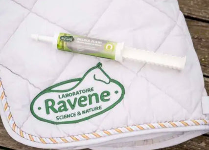 Becool flash - Ravene Laboratory
