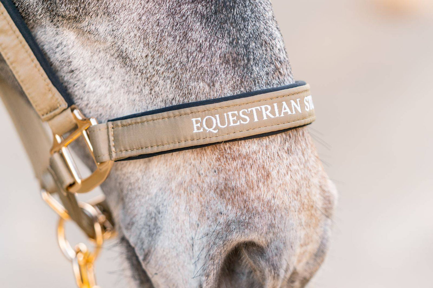 Licol et longe Sportive Chantelle - Equestrian Stockholm