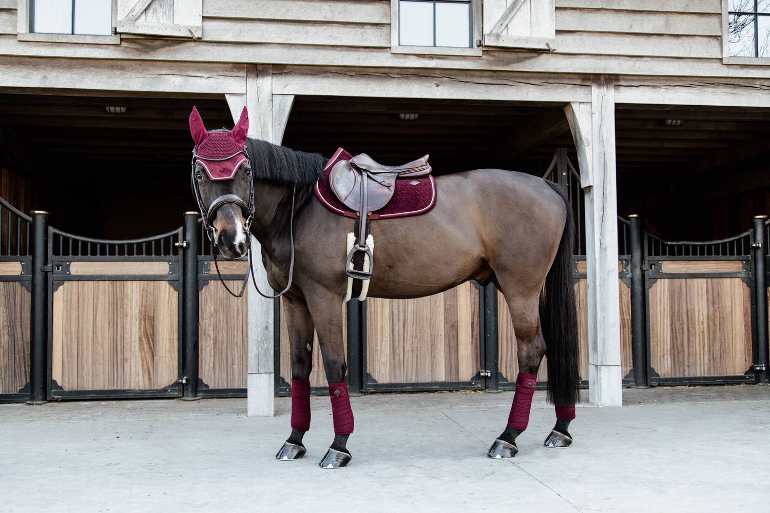 Tapis Velvet Bordeaux MIXTE - Kentucky