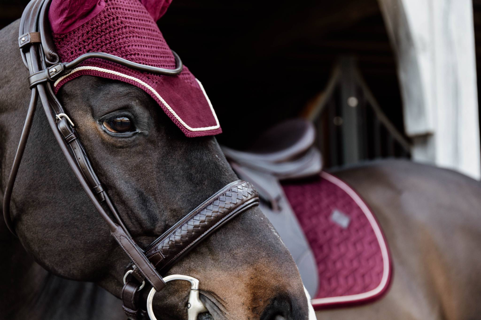 Tapis Velvet Bordeaux DRESSAGE - Kentucky