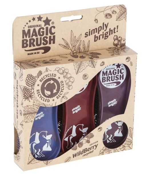 Magic Brush - Harry&