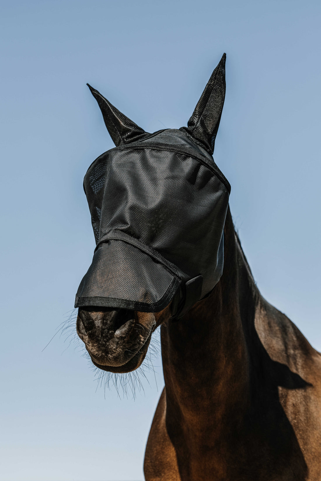 Protec fly mask - EQUITHÈME