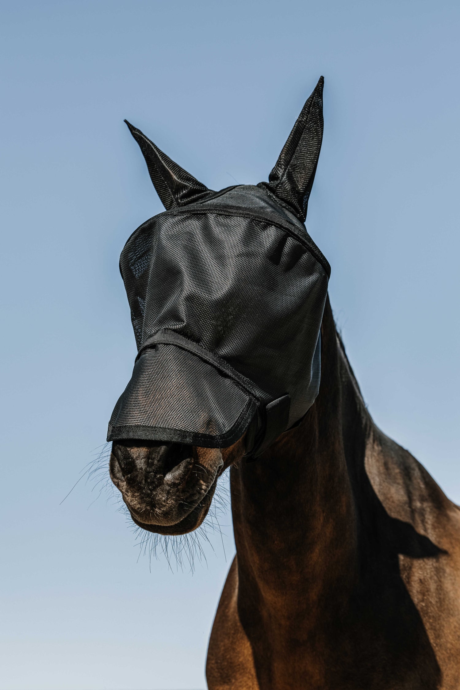 Masque anti mouches et anti UV Protec - EQUITHEME