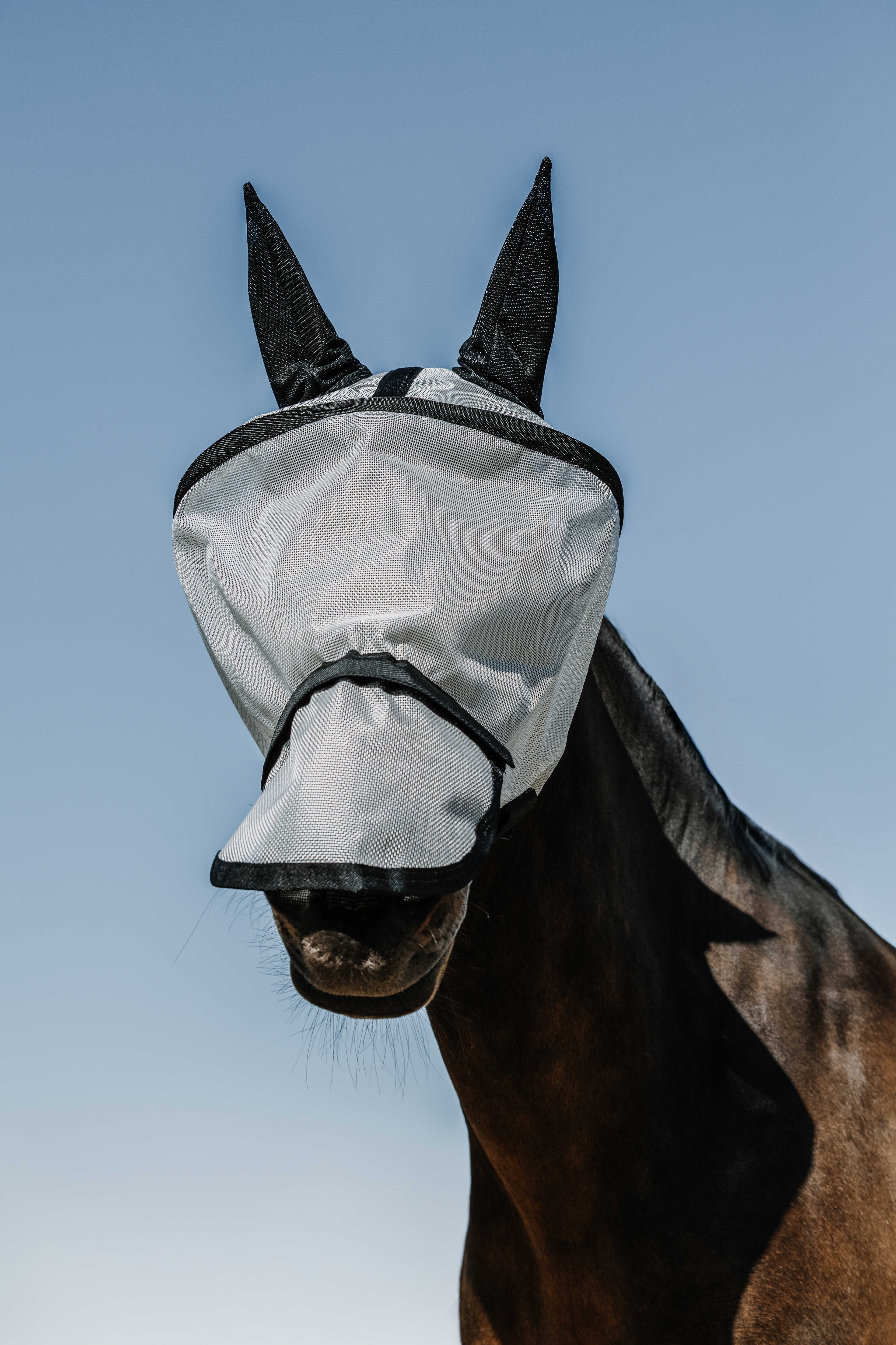 Masque anti mouches et anti UV Protec - EQUITHEME