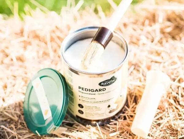 Onguent blond Pedigard - Laboratoire Ravene