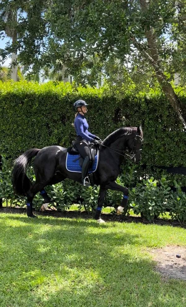 Base layer bleu roi Royal Blue - Equito