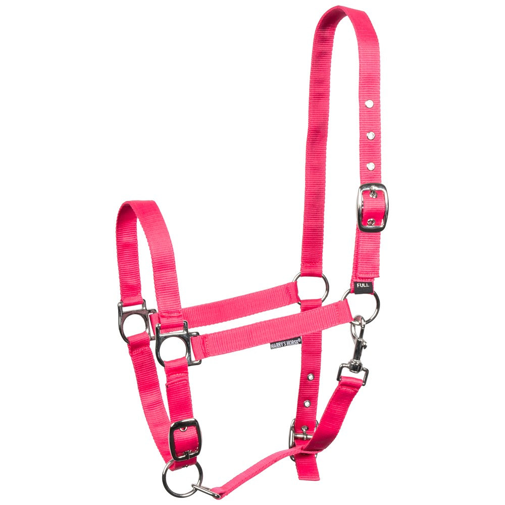Licol en nylon reglable x3- Harry&