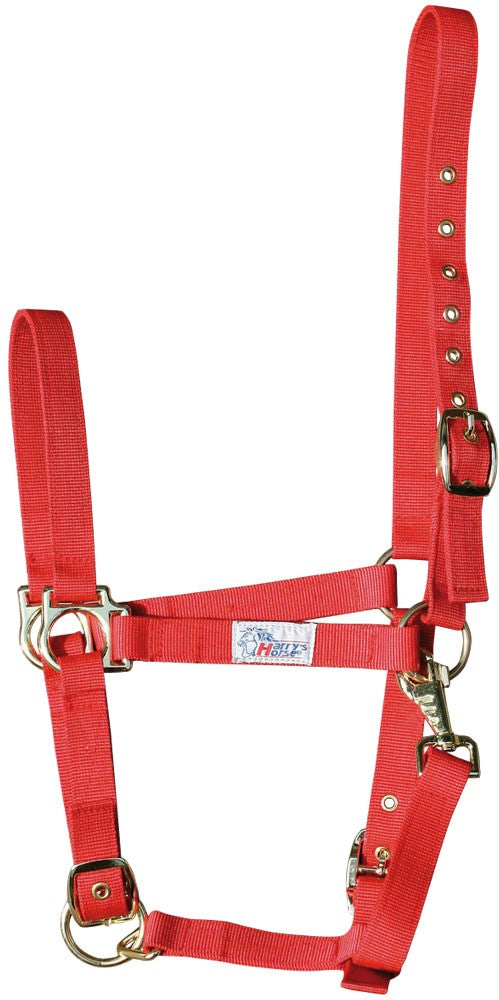 Licol en nylon reglable x3- Harry&