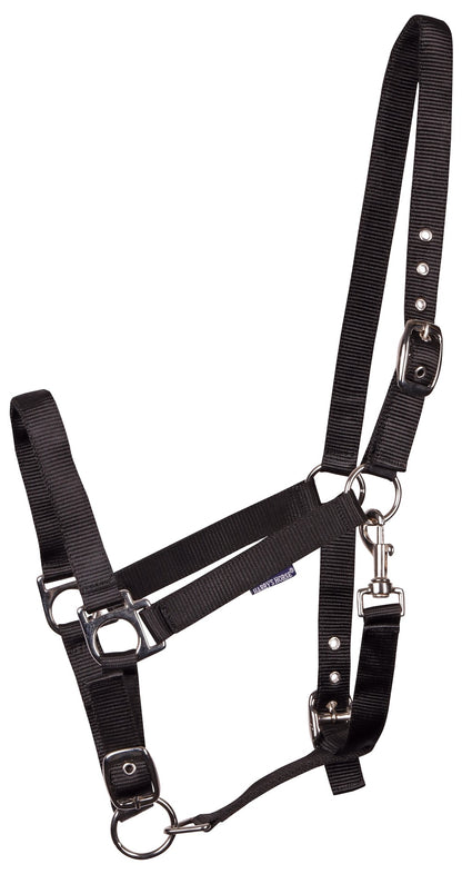 Licol en nylon reglable x3- Harry&