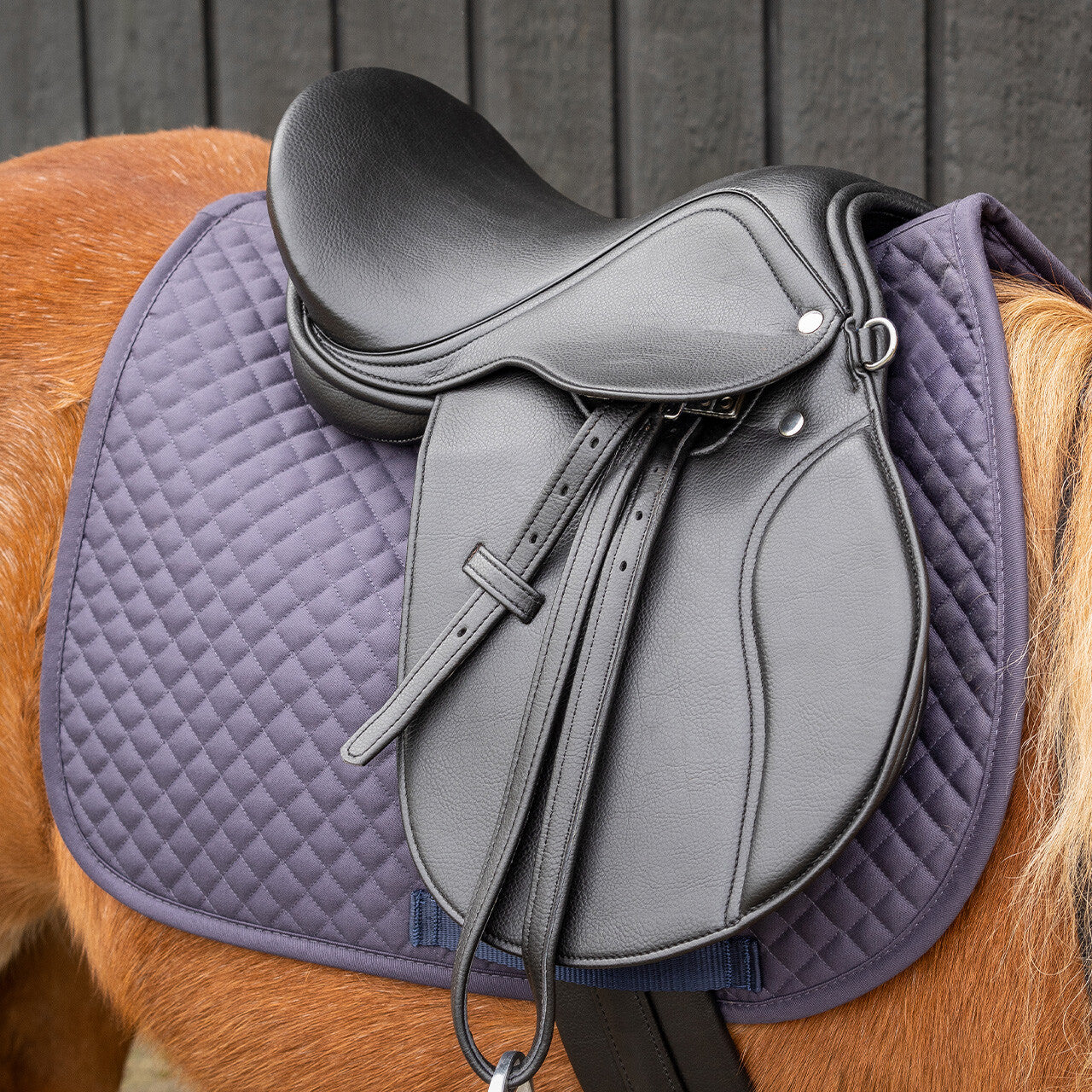 Equipement complet selle et filet pour enfant - QHP