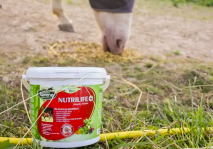 Complément alimentaire pour cheval Nutrilife + - Laboratoire Ravene