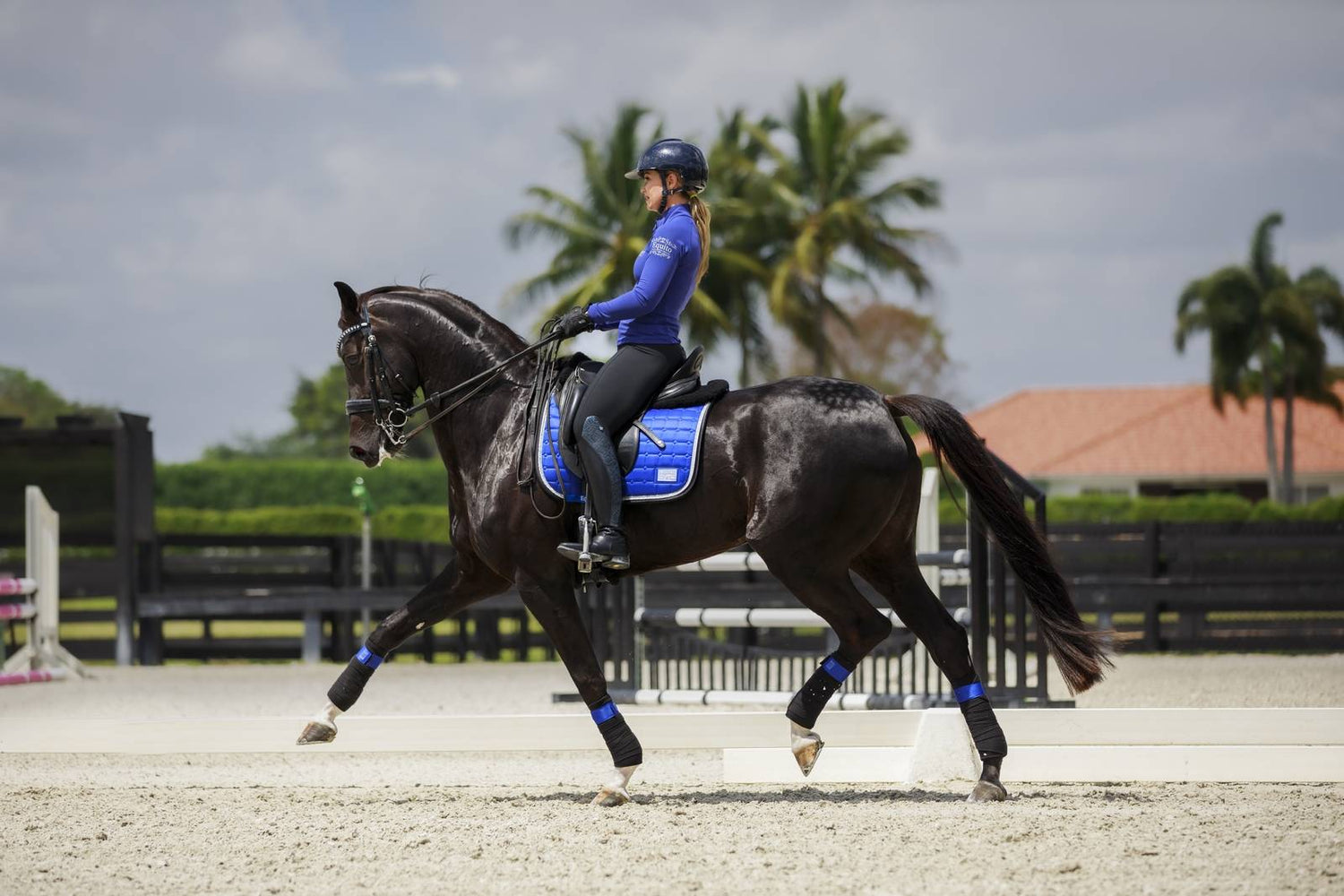 Tapis Royal Blue - Equito