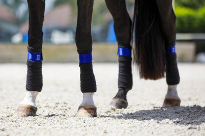 Bandes de polo Royal Blue - Equito