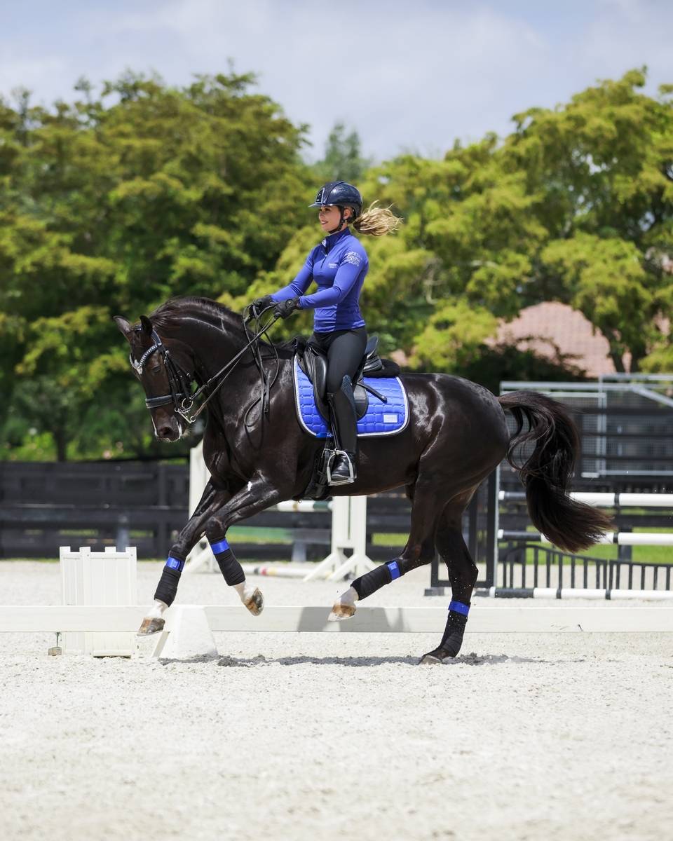 Base layer bleu roi Royal Blue - Equito