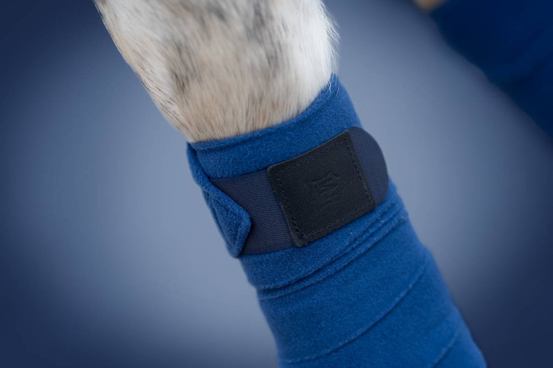 Bandes Edition limitée 2022 Blue - Mattes