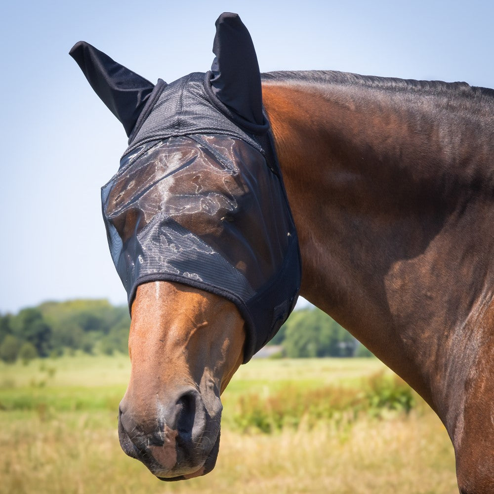 Flyshield fly mask - Harry&
