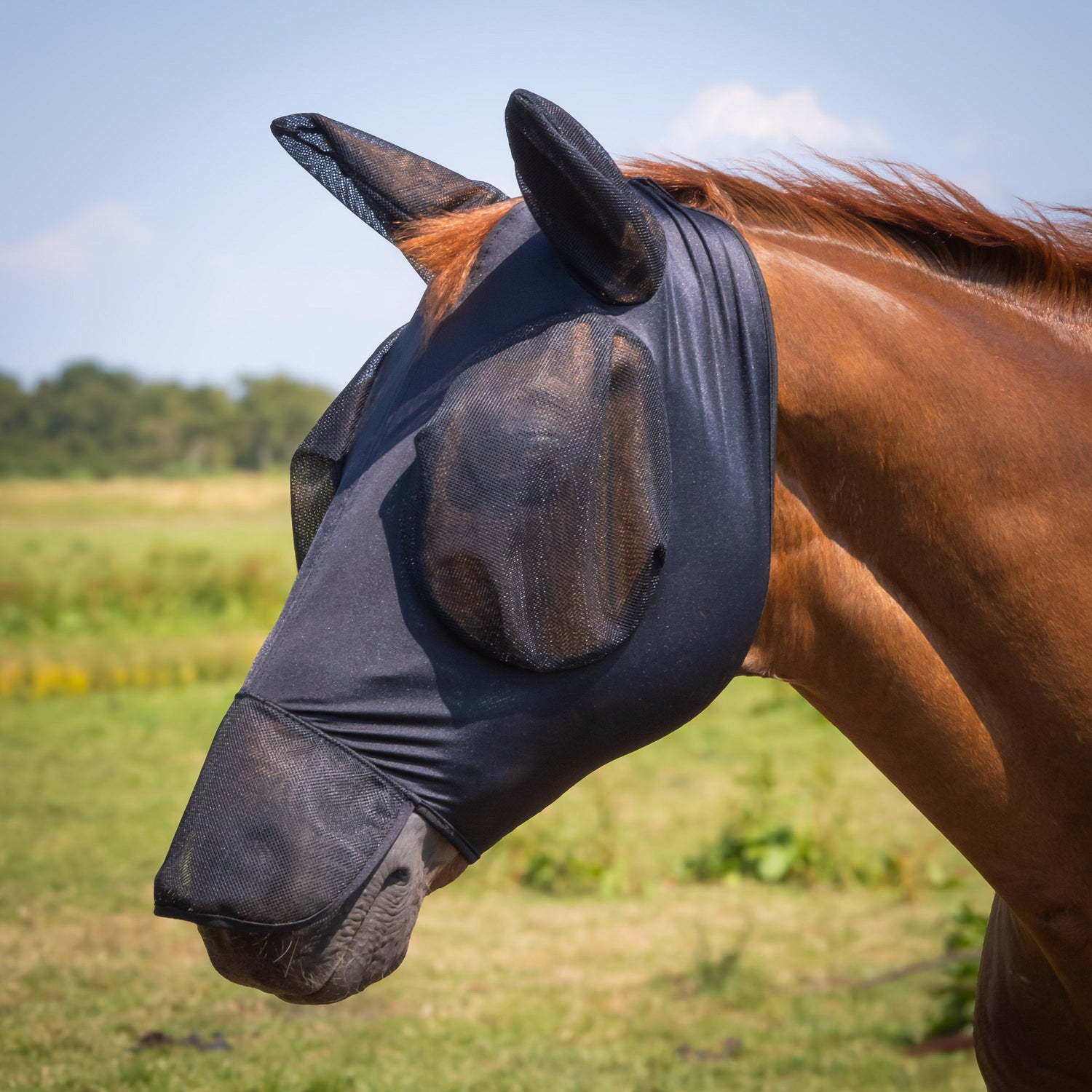 Masque anti-mouches Skinfit avec oreilles et naseaux - HARRY&