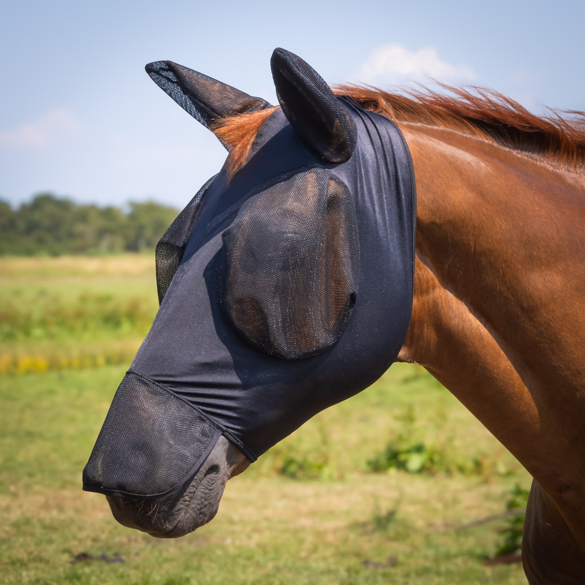 Masque anti-mouches Skinfit avec oreilles et naseaux - HARRY&