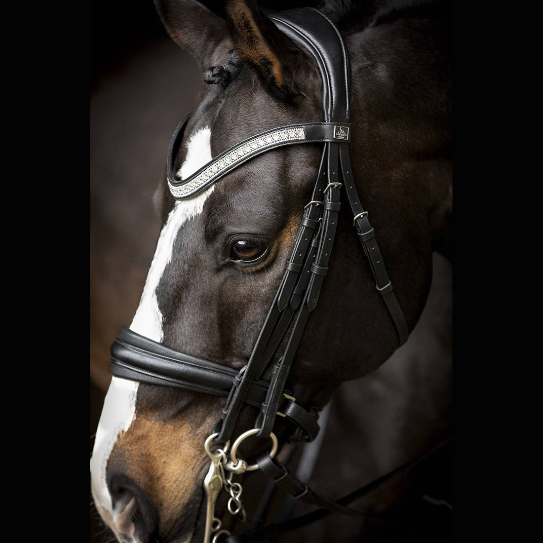 Silvano Bridle Black - SD Design 