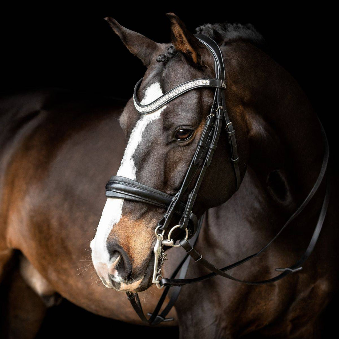 Silvano Bridle Black - SD Design 