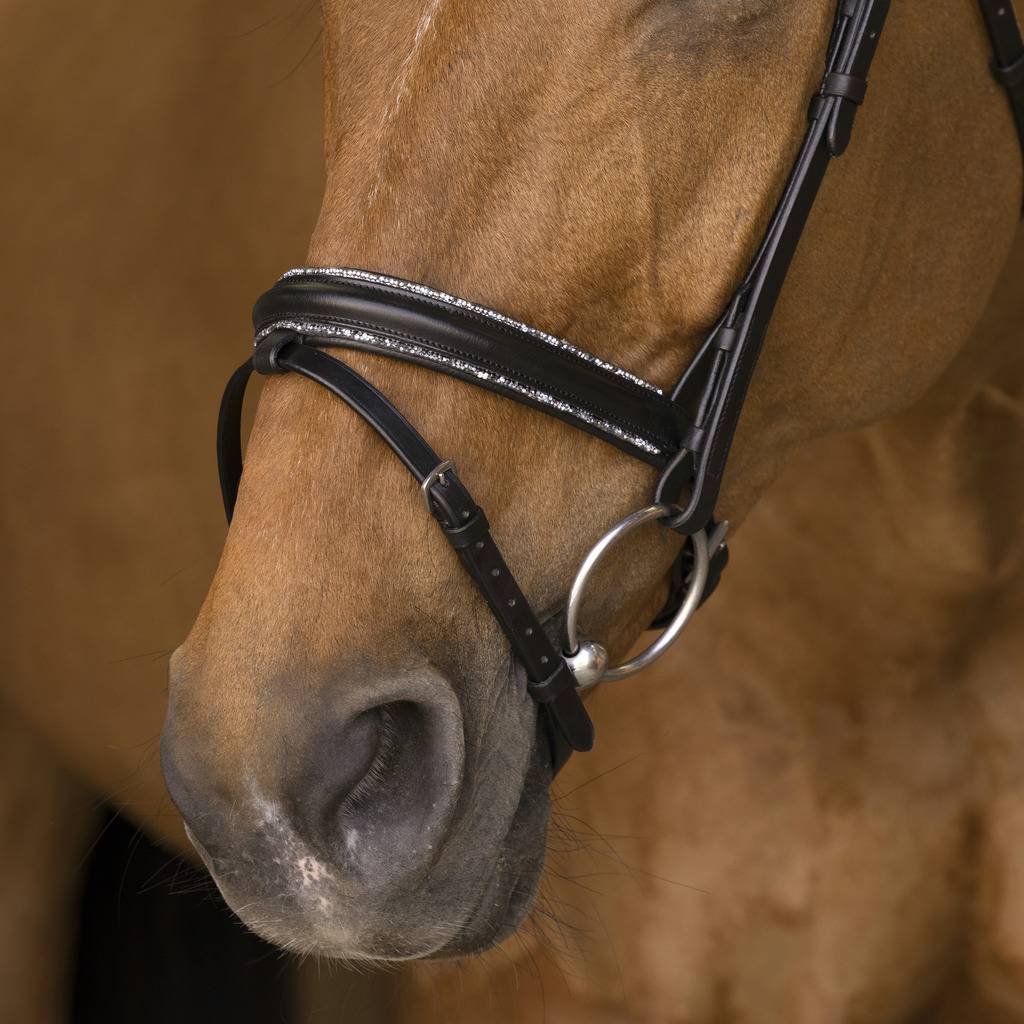 Rock bridle - Norton 