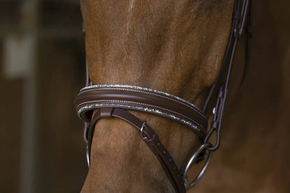 Rock bridle - Norton 