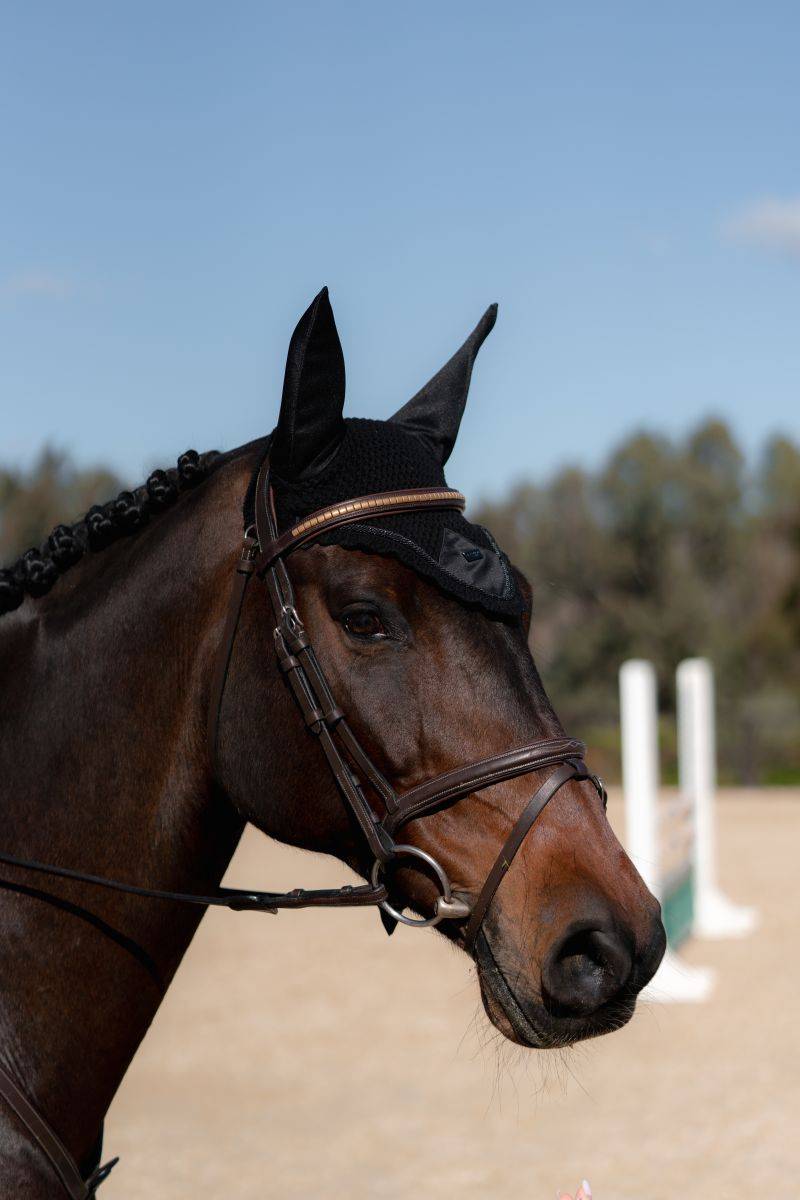 Bonnet Total Eclipse - Equestrian Stockholm