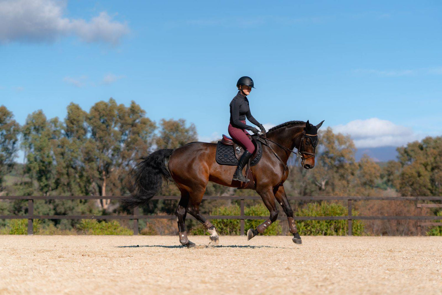 Tapis de selle Total Eclipse - Equestrian Stockholm