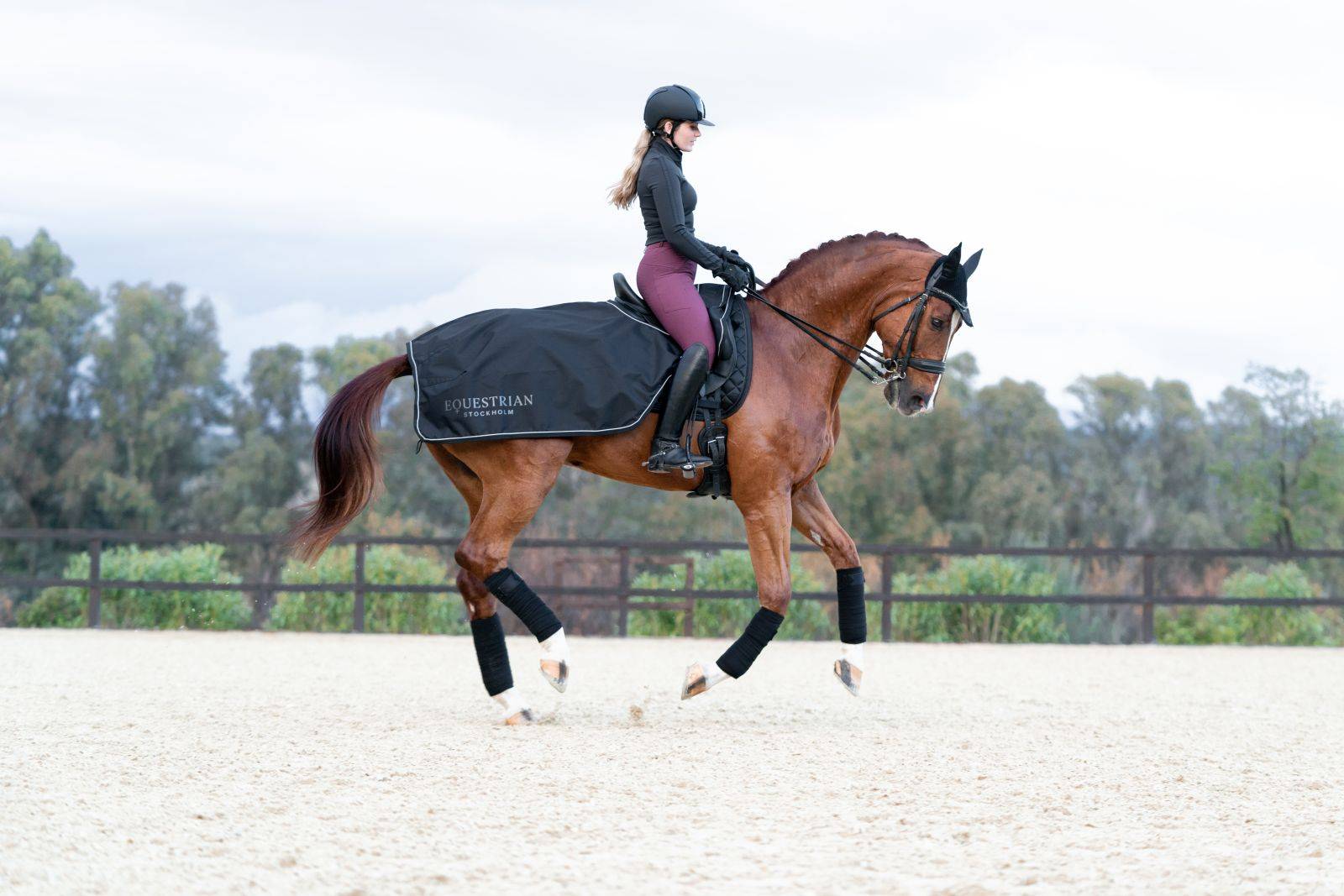 Couvre Reins Total Eclipse - Equestrian Stockholm