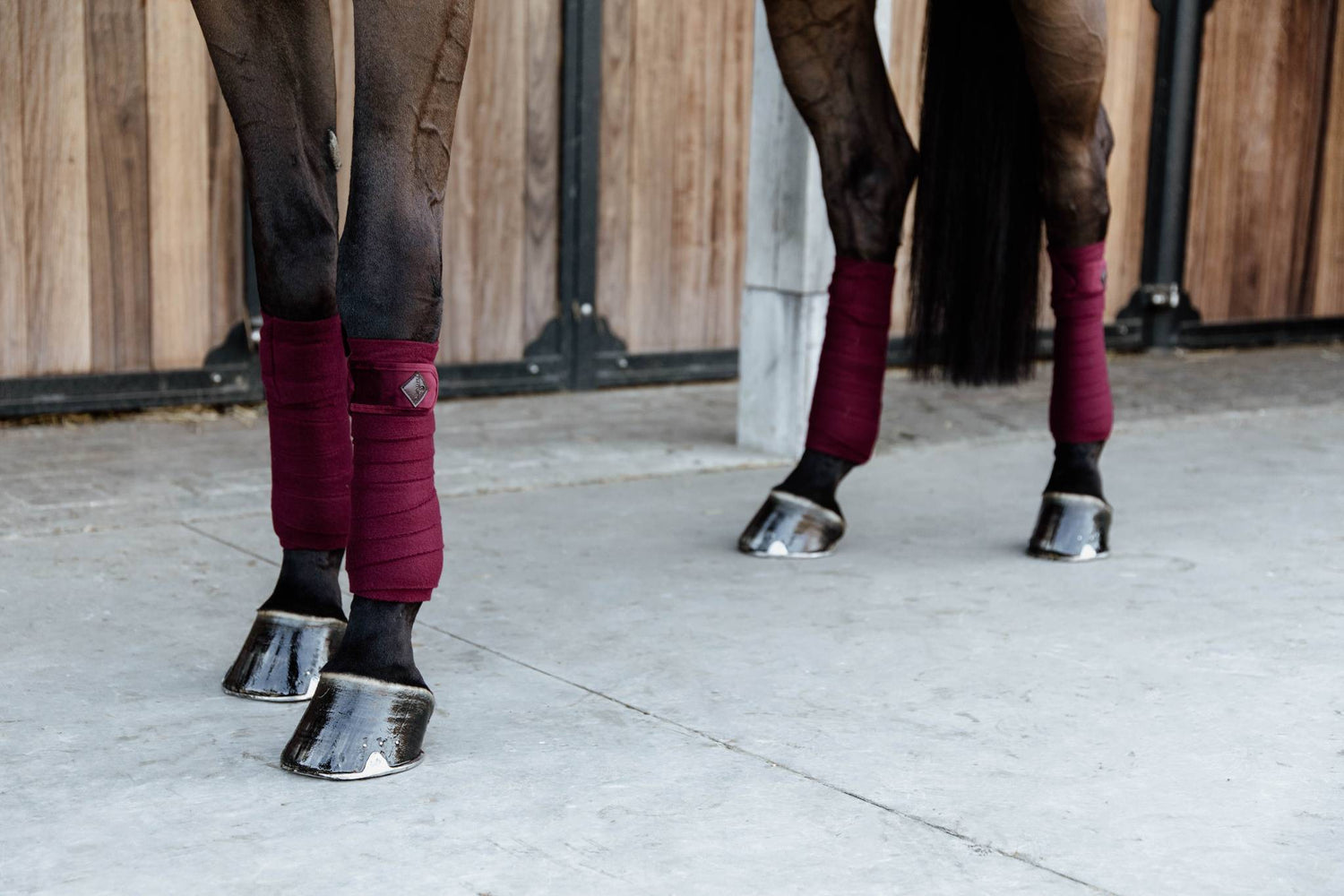 Bandes de polo Velvet Bordeaux - Kentucky