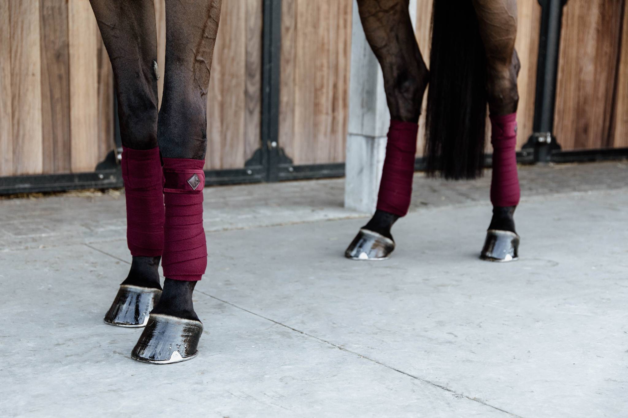 Bandes de polo Velvet Bordeaux - Kentucky