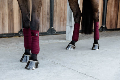 Bandes de polo Velvet Bordeaux - Kentucky