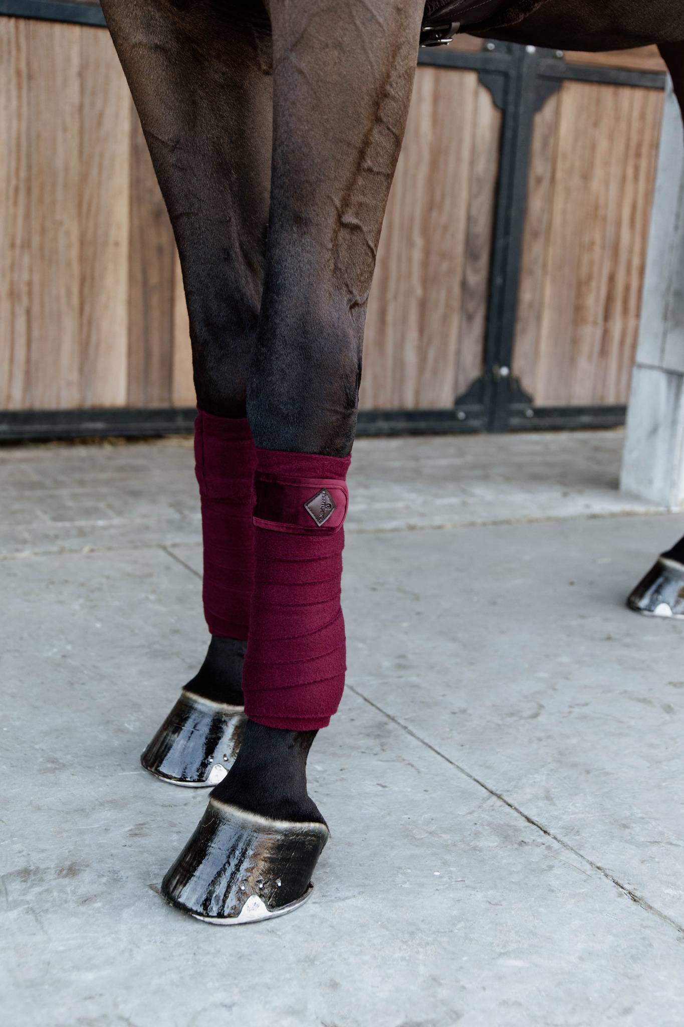Bandes de polo Velvet Bordeaux - Kentucky