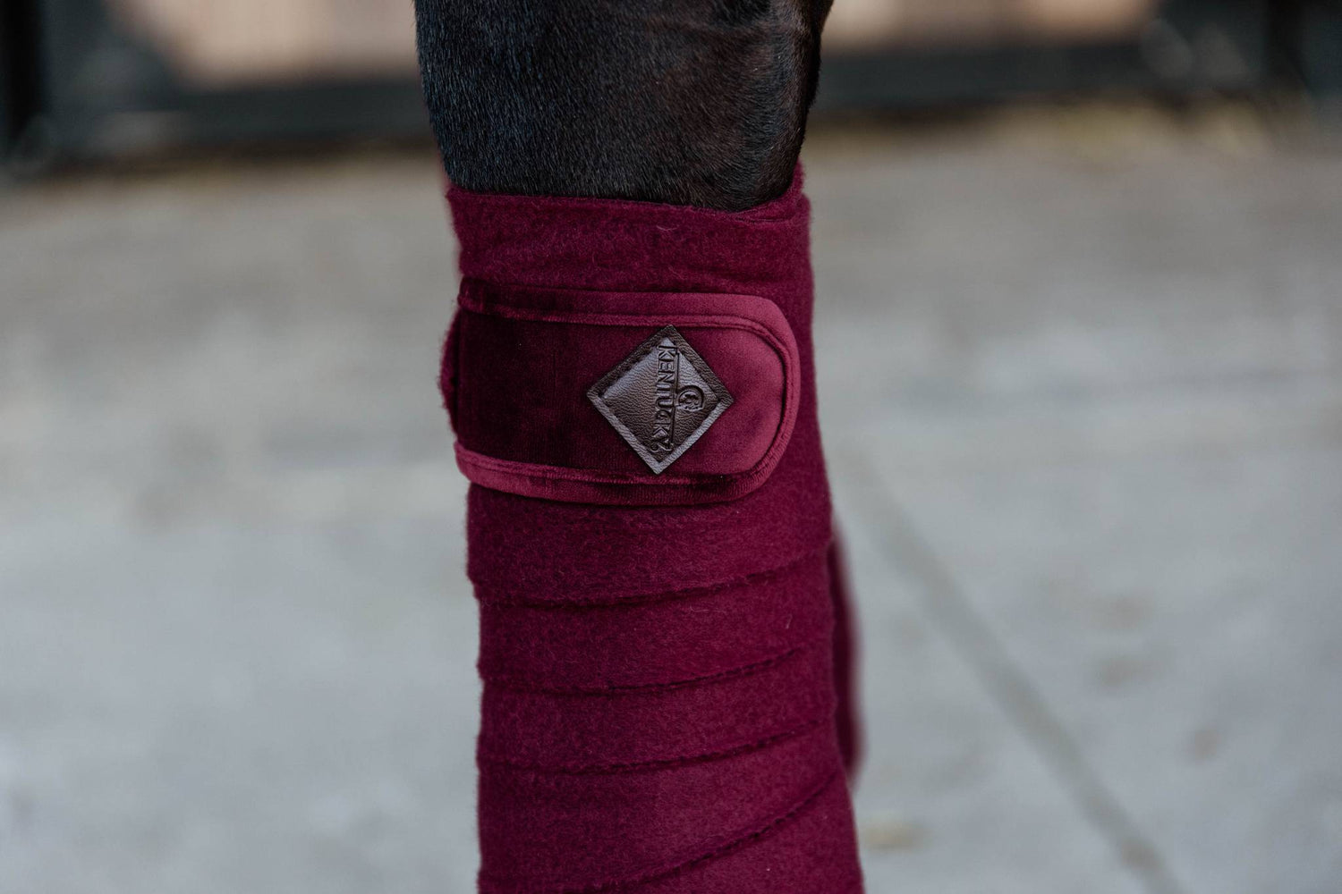 Bandes de polo Velvet Bordeaux - Kentucky
