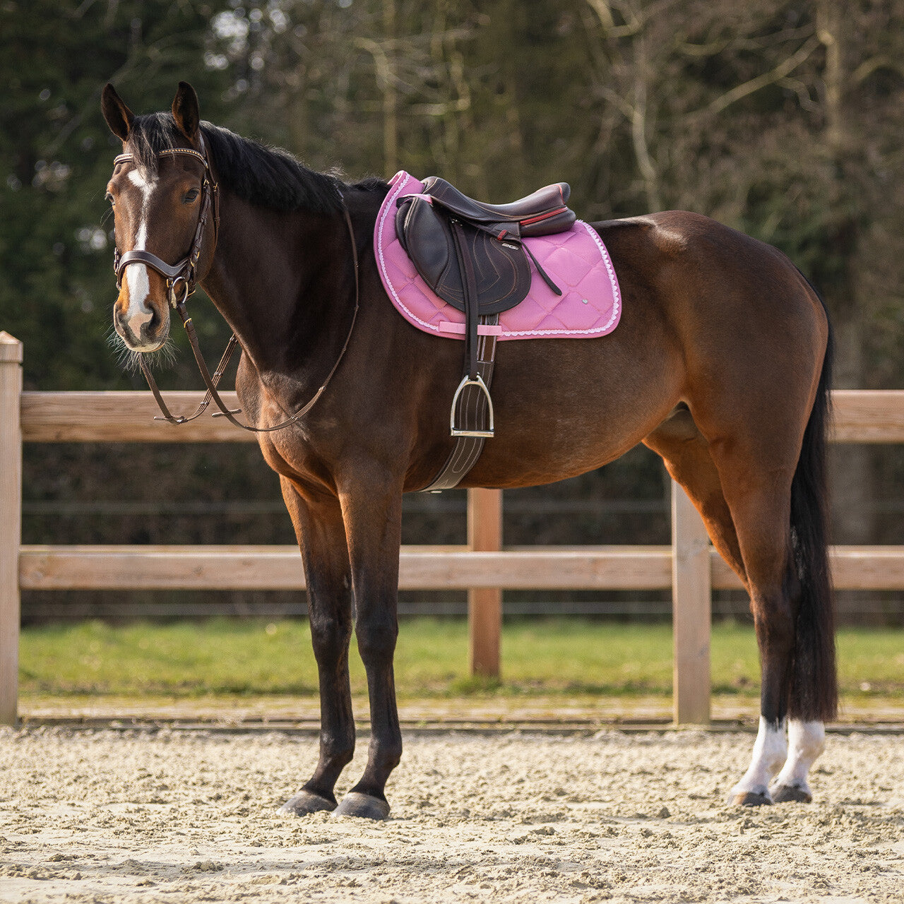 Tapis de selle Lyvia MIXTE - QHP