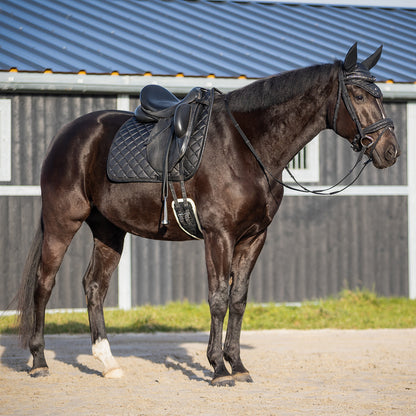 Sangle de dressage à paillettes – QHP